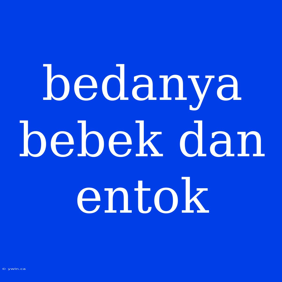 Bedanya Bebek Dan Entok