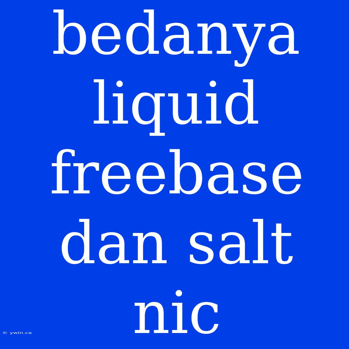 Bedanya Liquid Freebase Dan Salt Nic