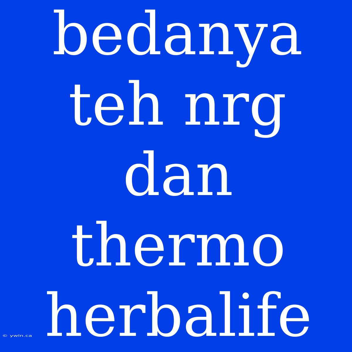 Bedanya Teh Nrg Dan Thermo Herbalife