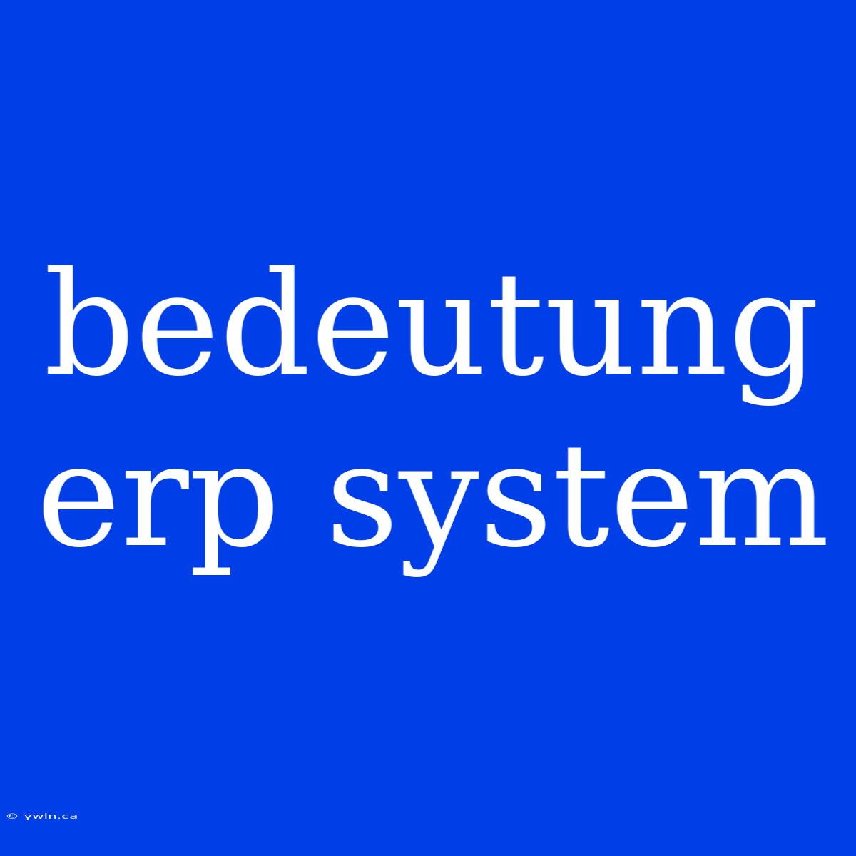 Bedeutung Erp System