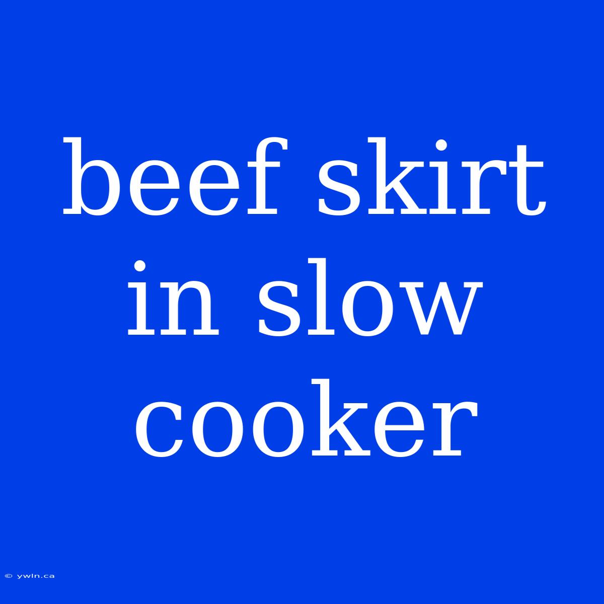 Beef Skirt In Slow Cooker