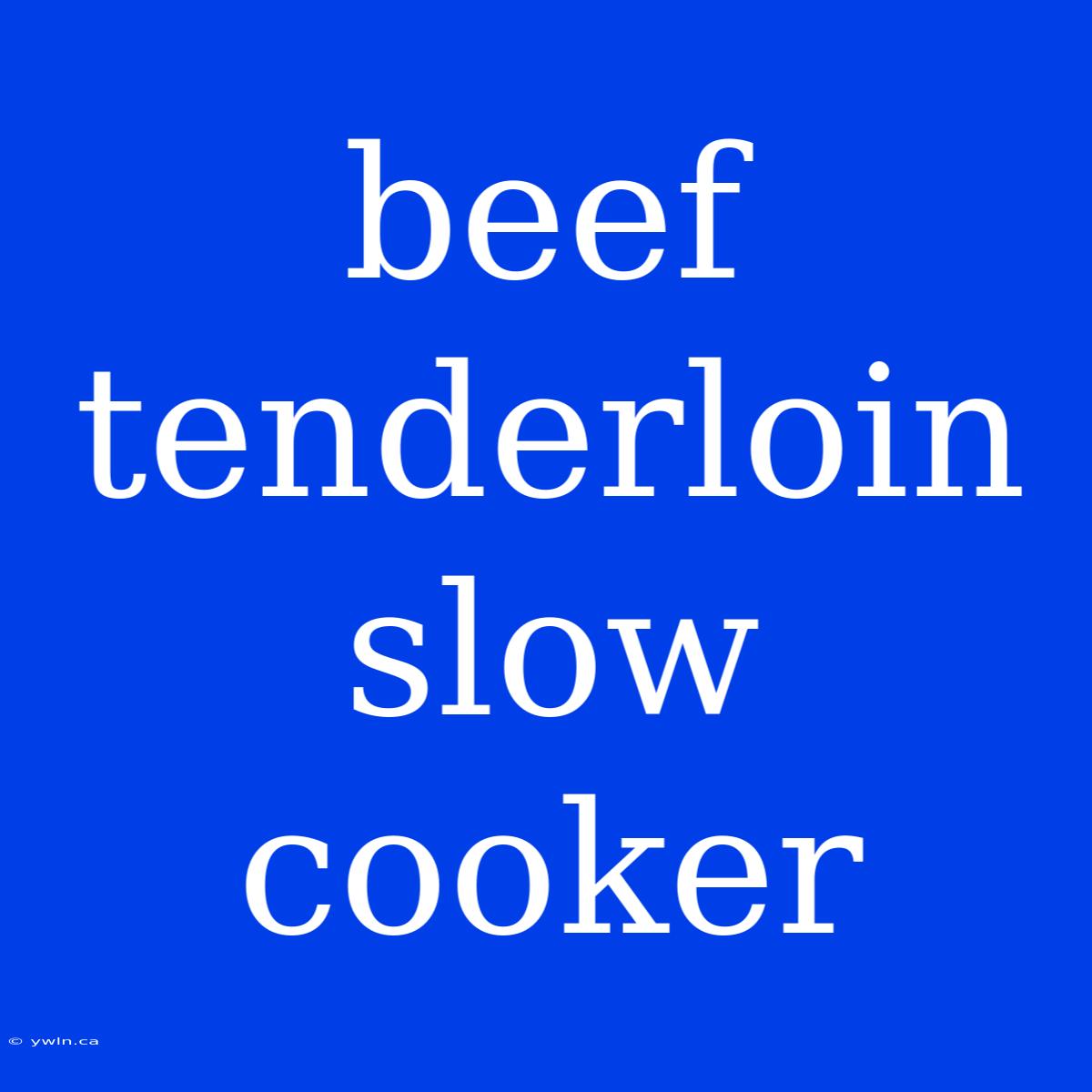 Beef Tenderloin Slow Cooker