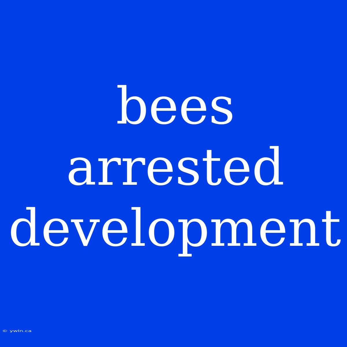 Bees Arrested Development