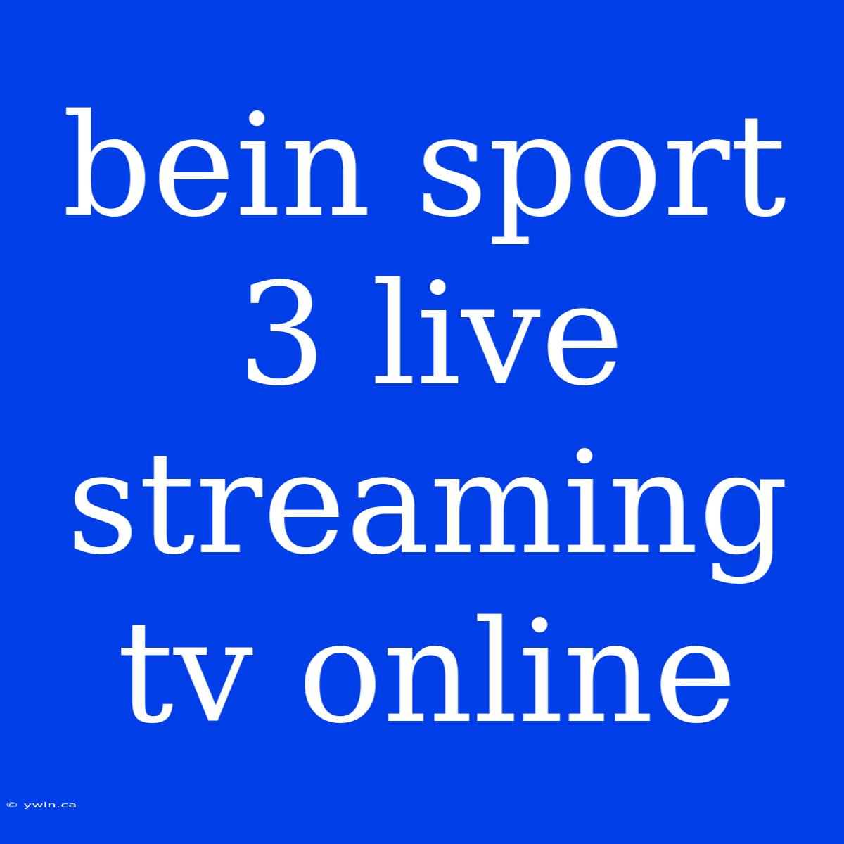 Bein Sport 3 Live Streaming Tv Online