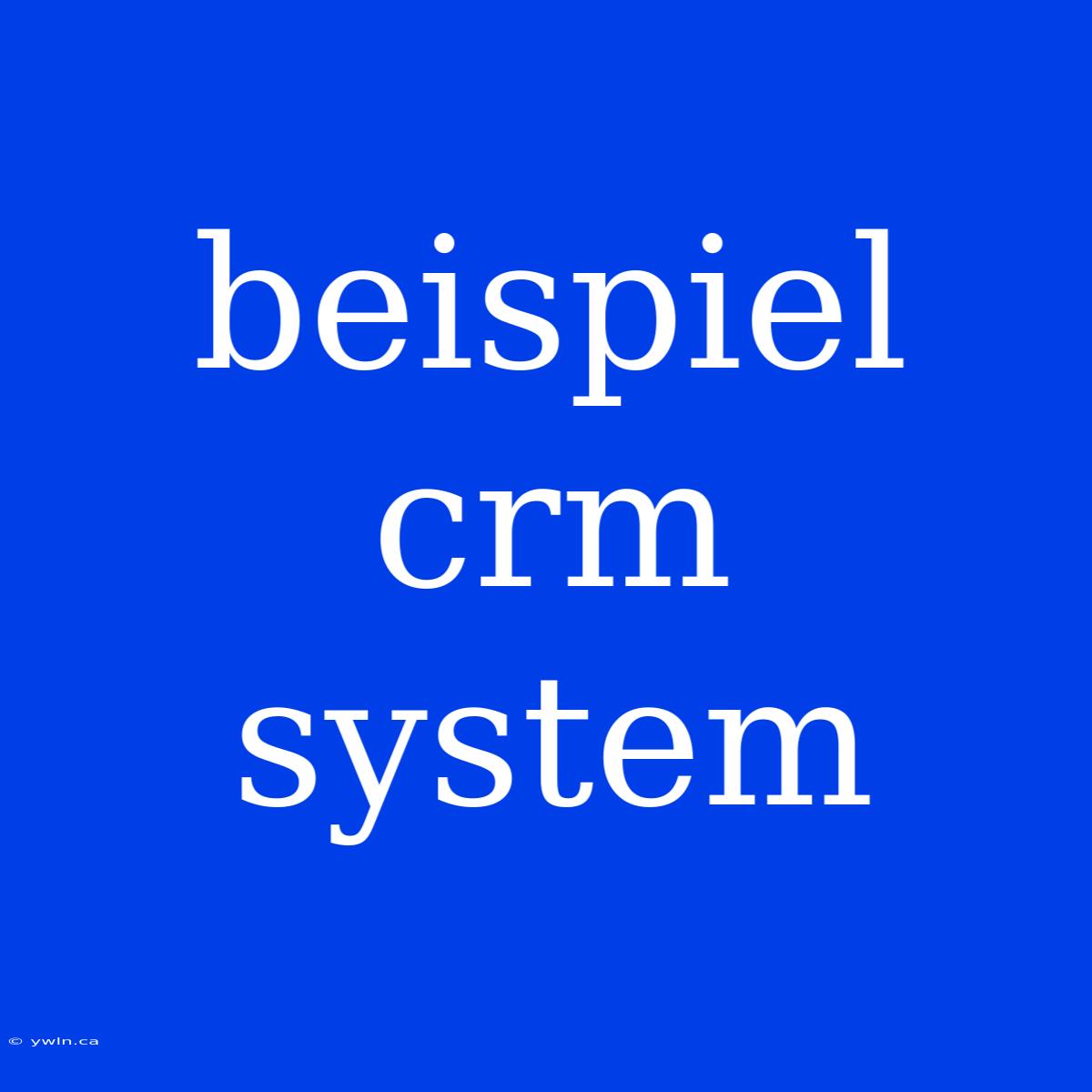 Beispiel Crm System