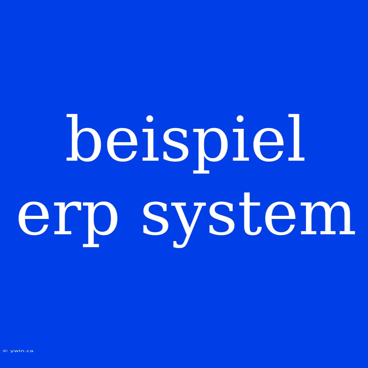 Beispiel Erp System