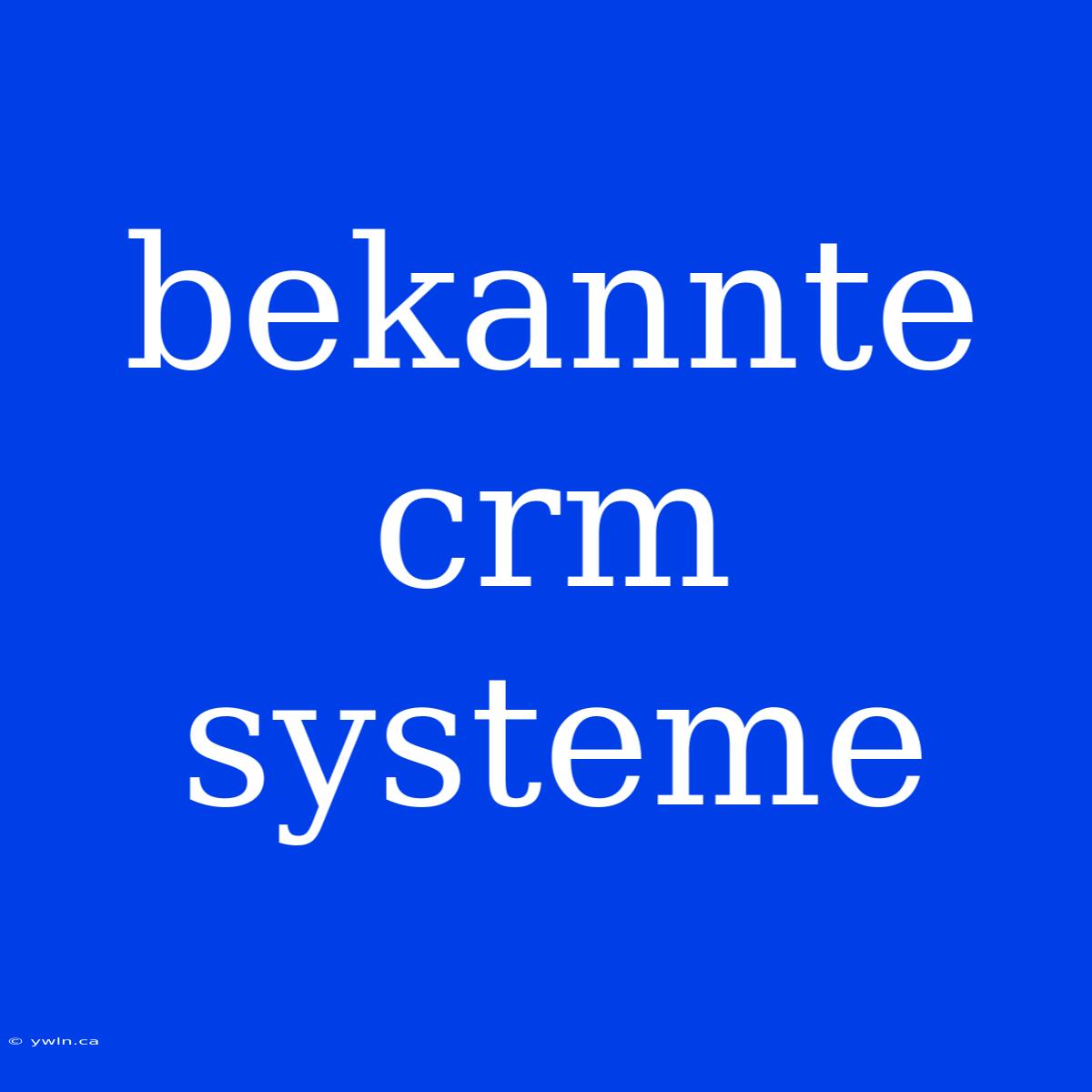 Bekannte Crm Systeme