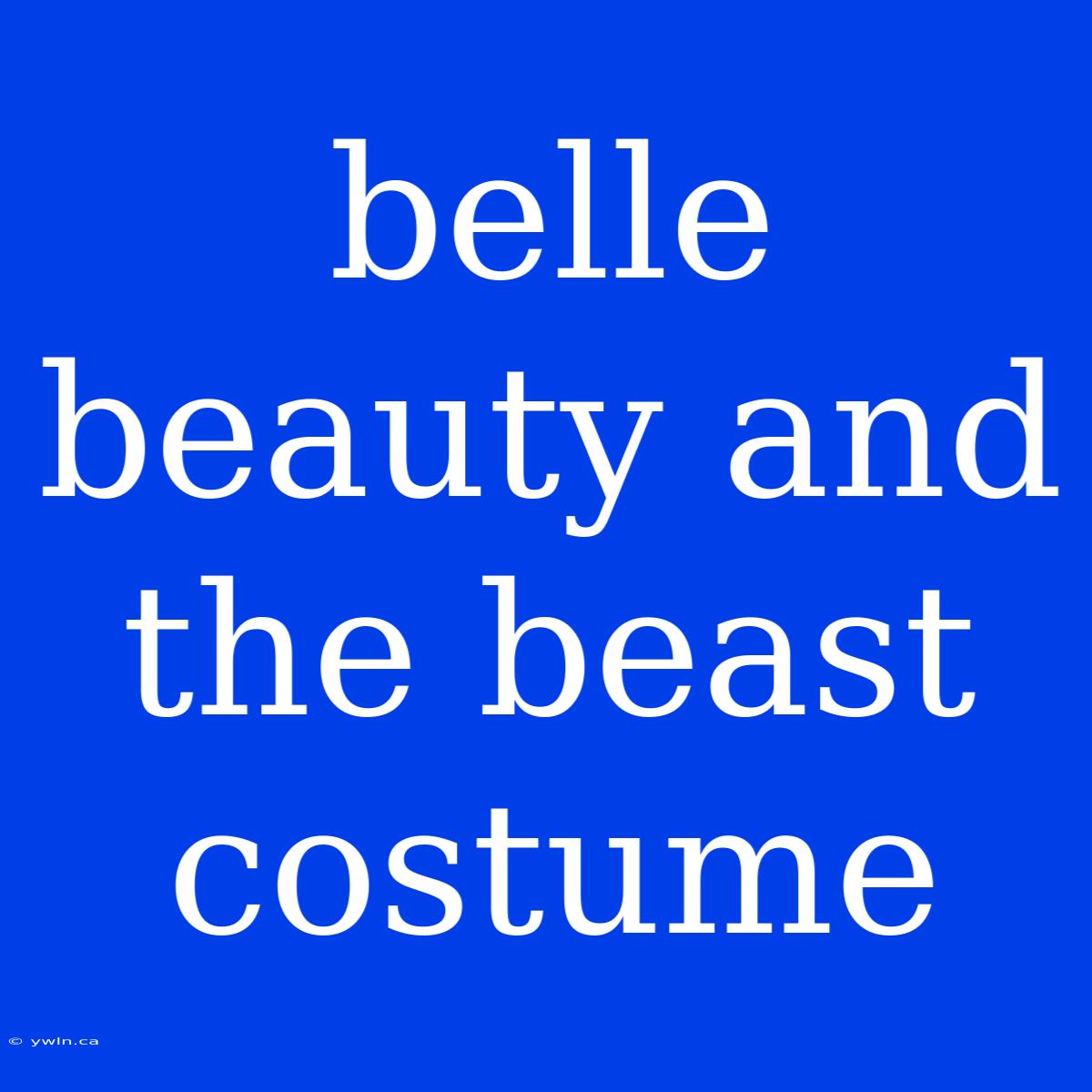 Belle Beauty And The Beast Costume