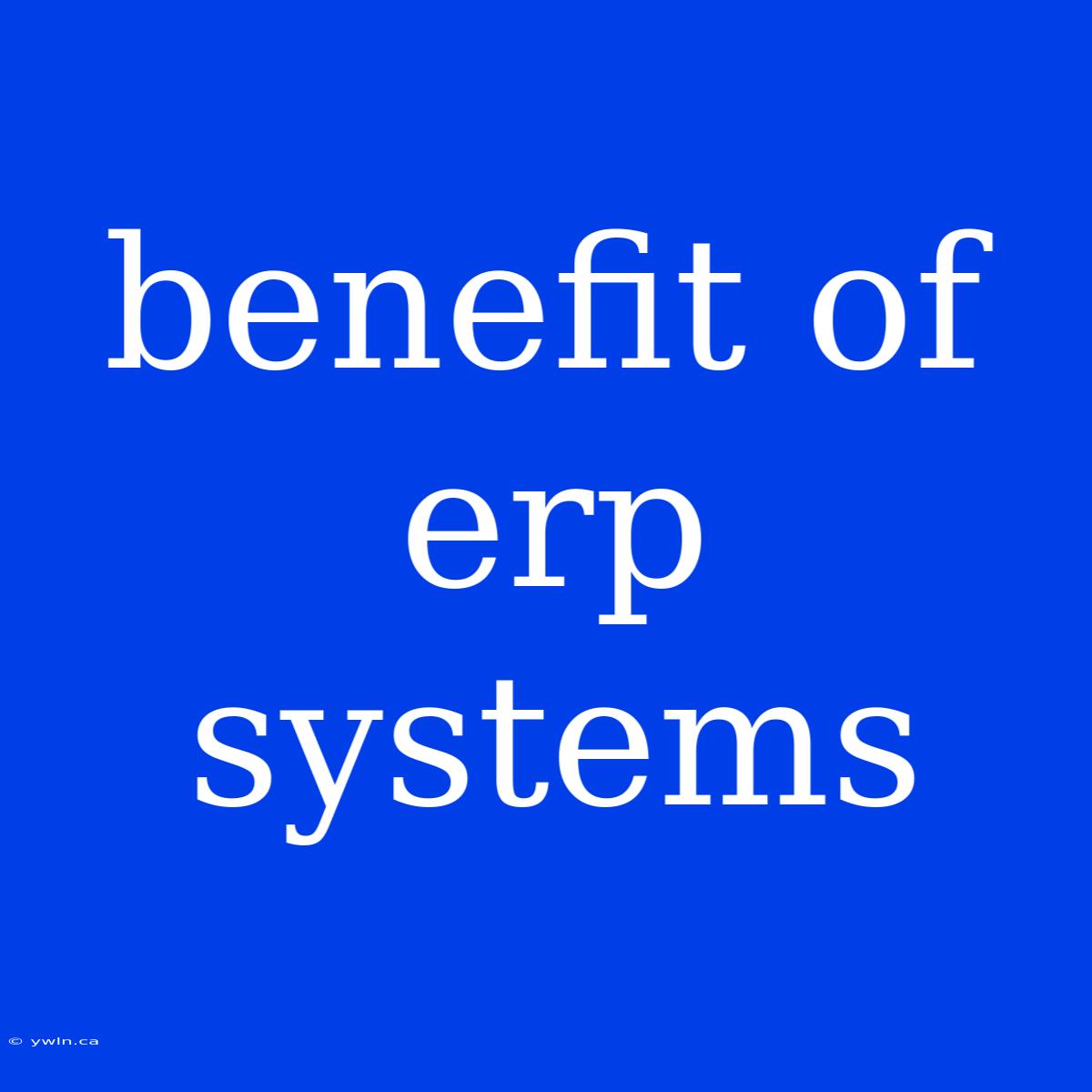 Benefit Of Erp Systems