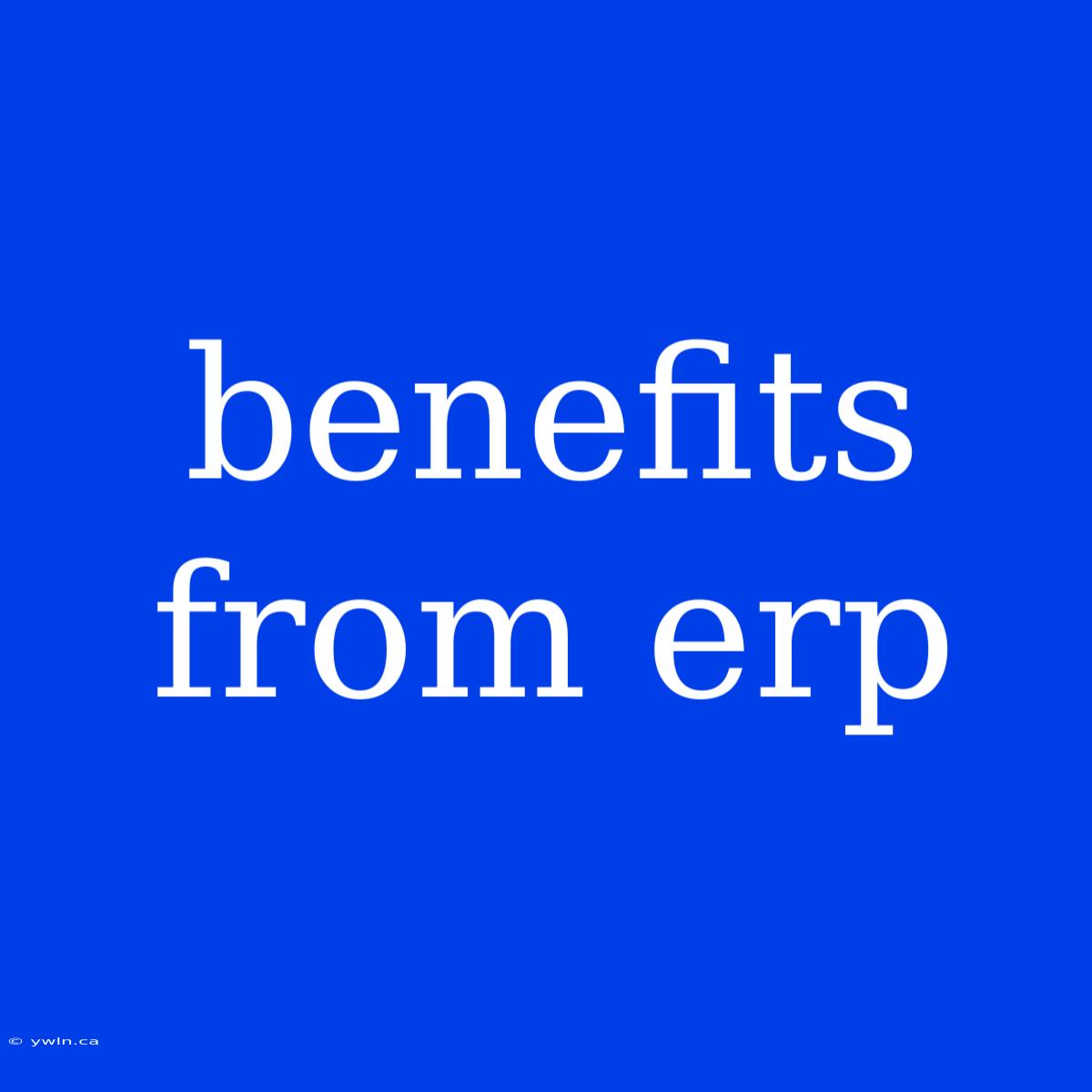 Benefits From Erp