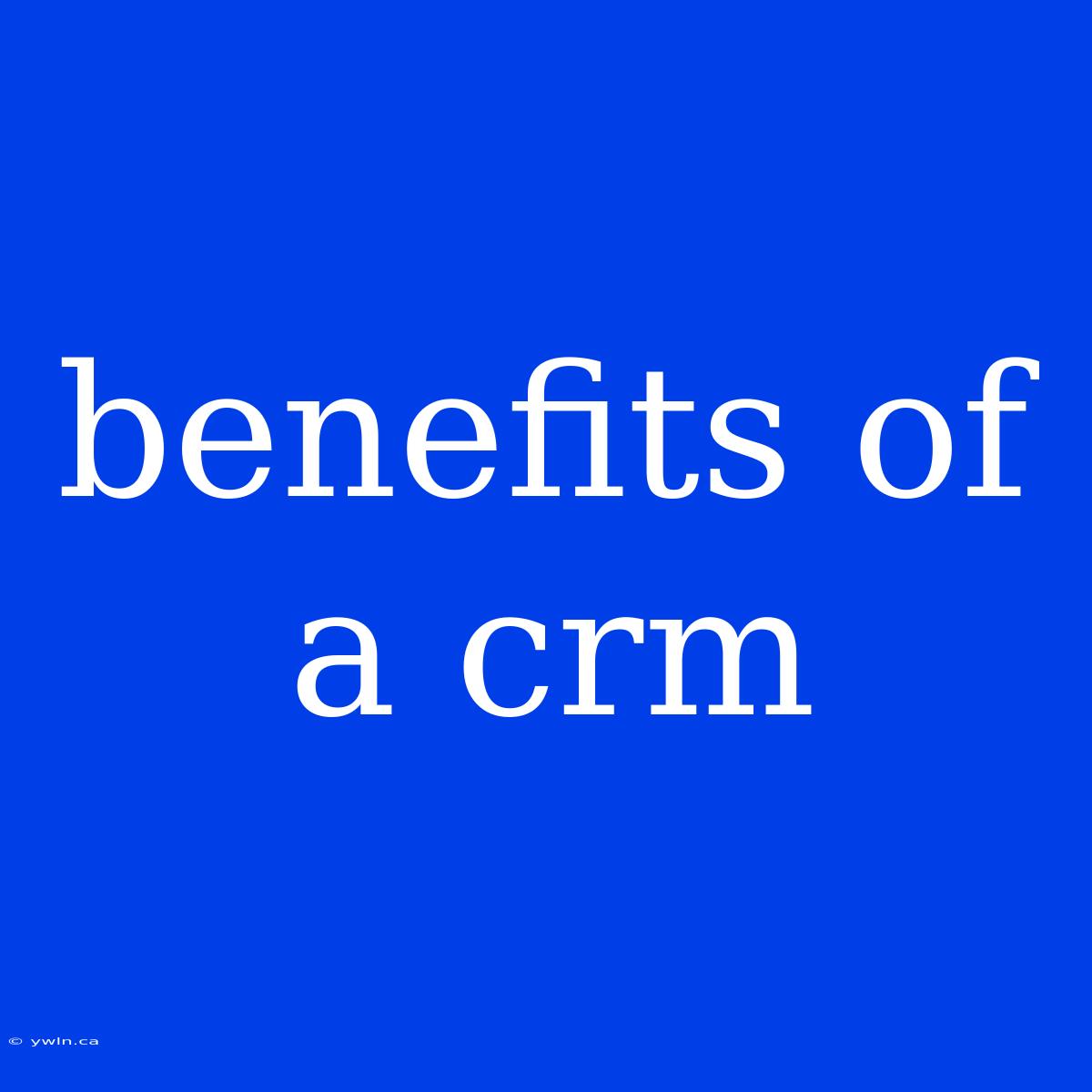 Benefits Of A Crm