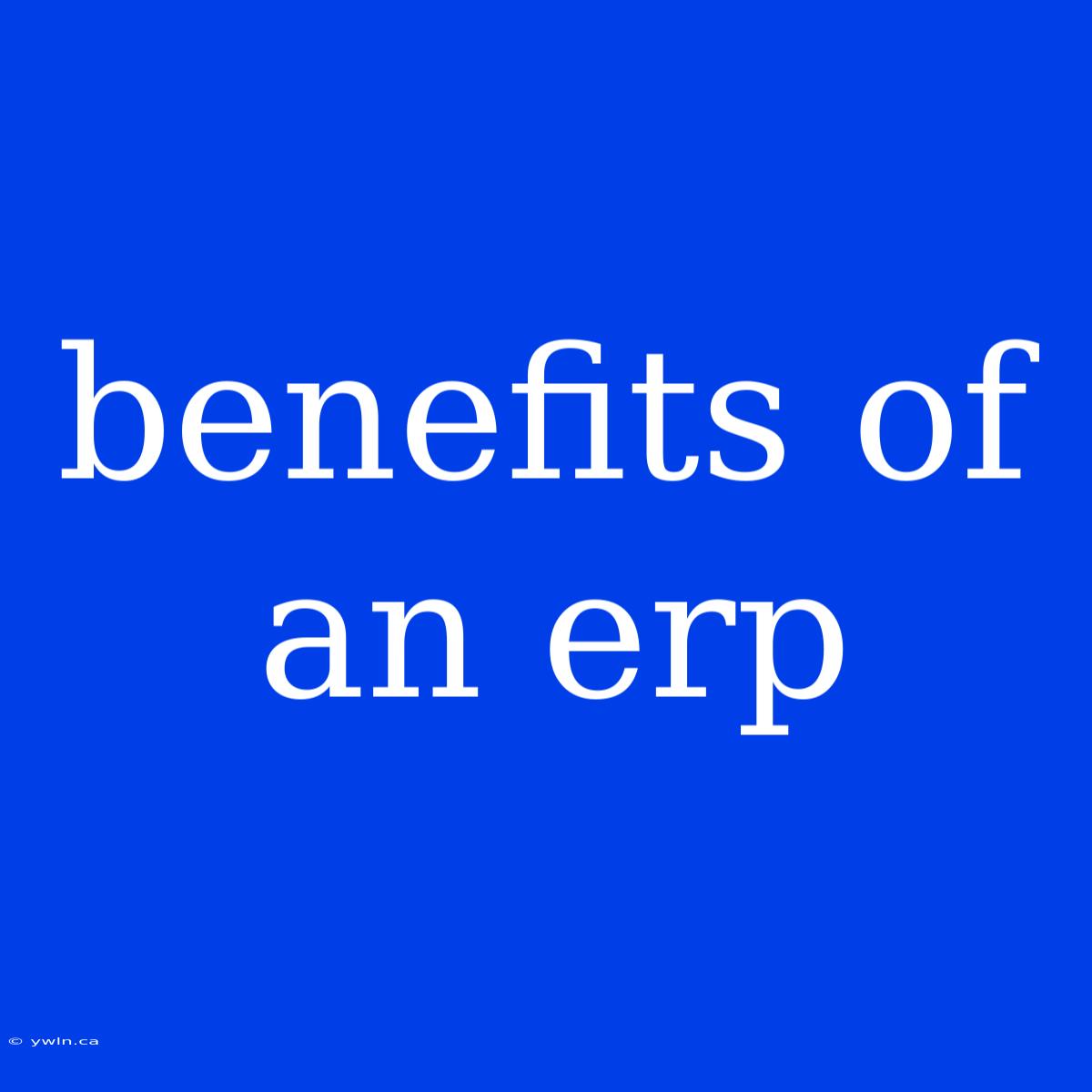 Benefits Of An Erp