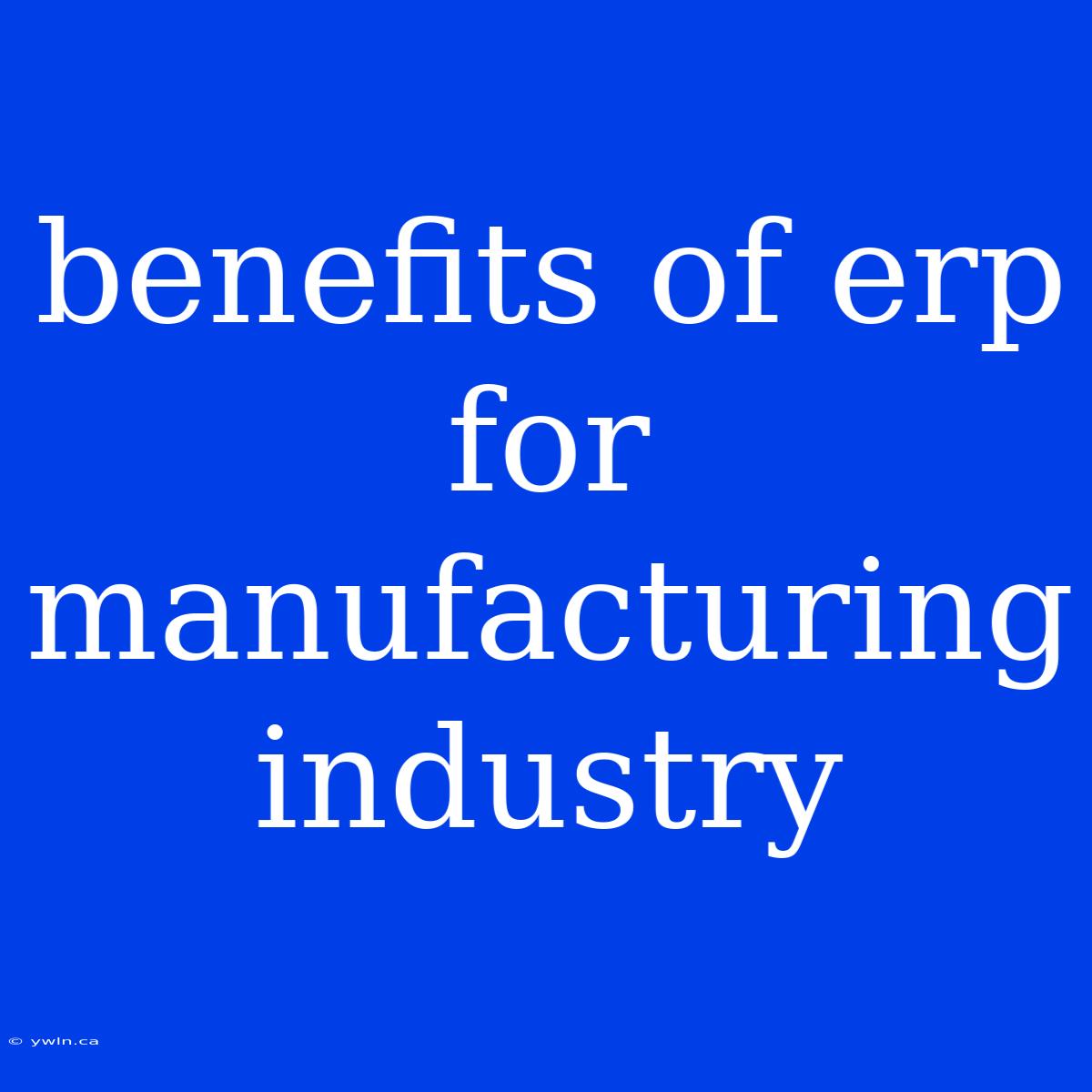 Benefits Of Erp For Manufacturing Industry