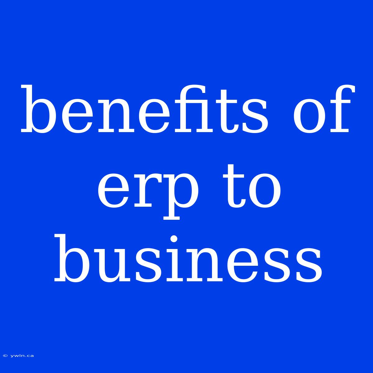 Benefits Of Erp To Business