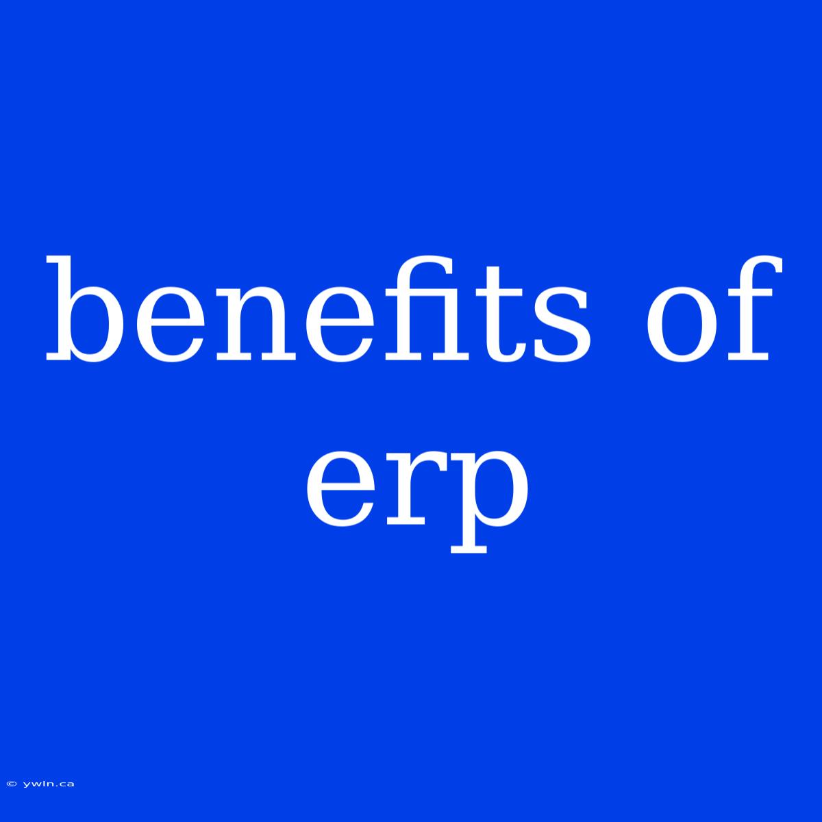 Benefits Of Erp