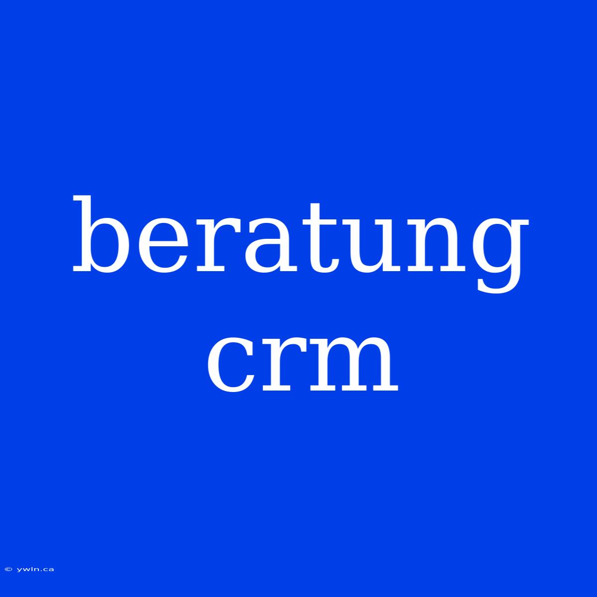 Beratung Crm