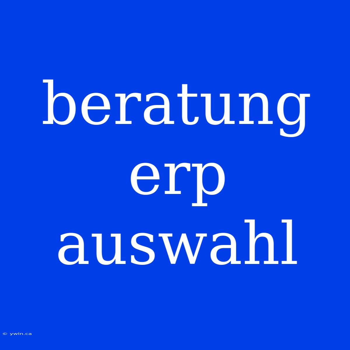 Beratung Erp Auswahl