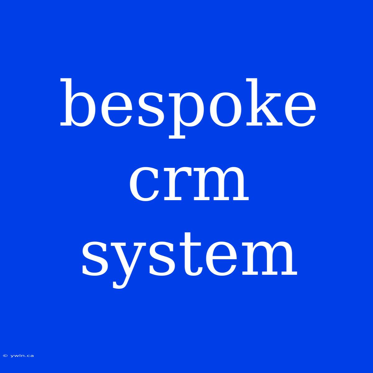 Bespoke Crm System