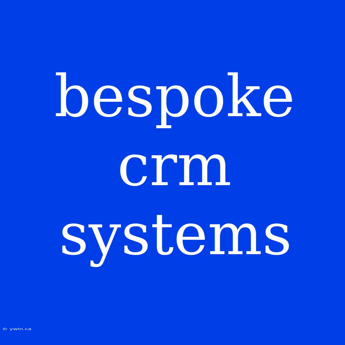 Bespoke Crm Systems