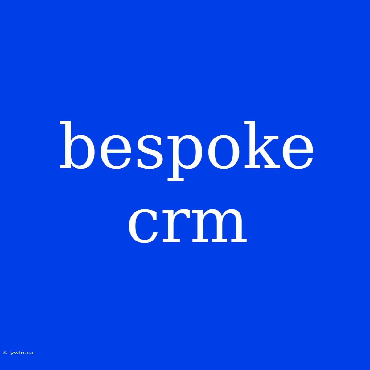 Bespoke Crm