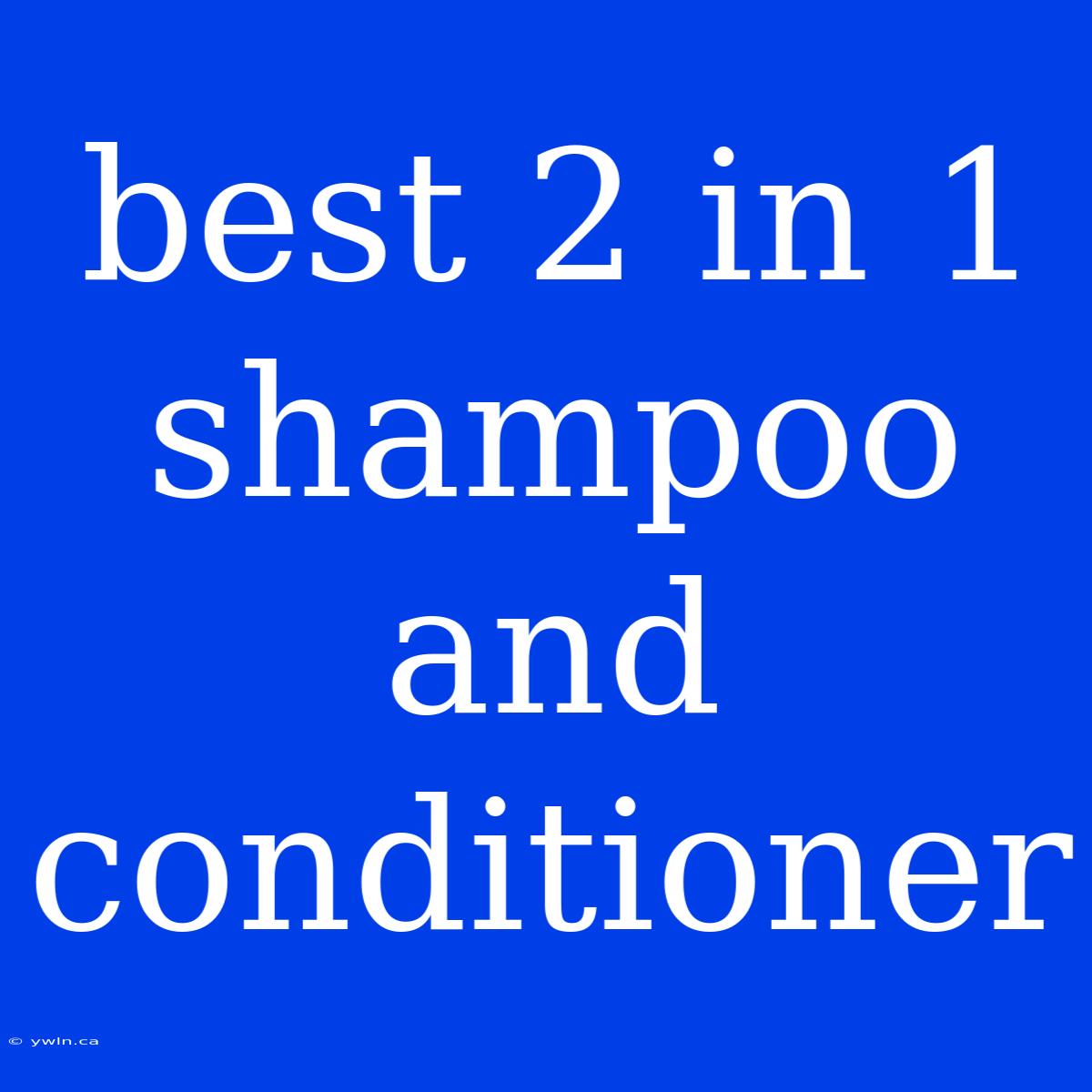 Best 2 In 1 Shampoo And Conditioner