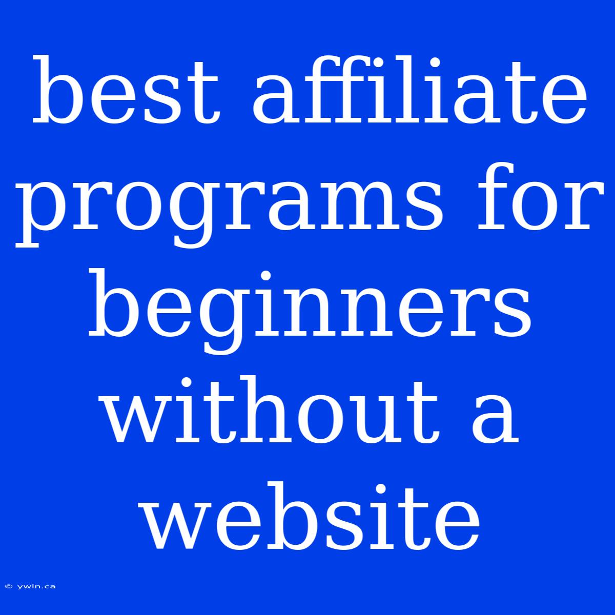 Best Affiliate Programs For Beginners Without A Website