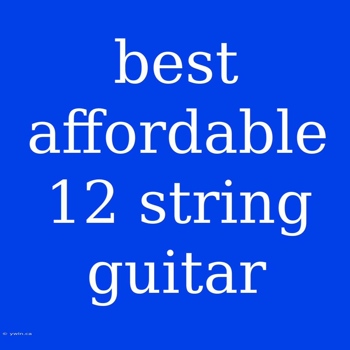 Best Affordable 12 String Guitar