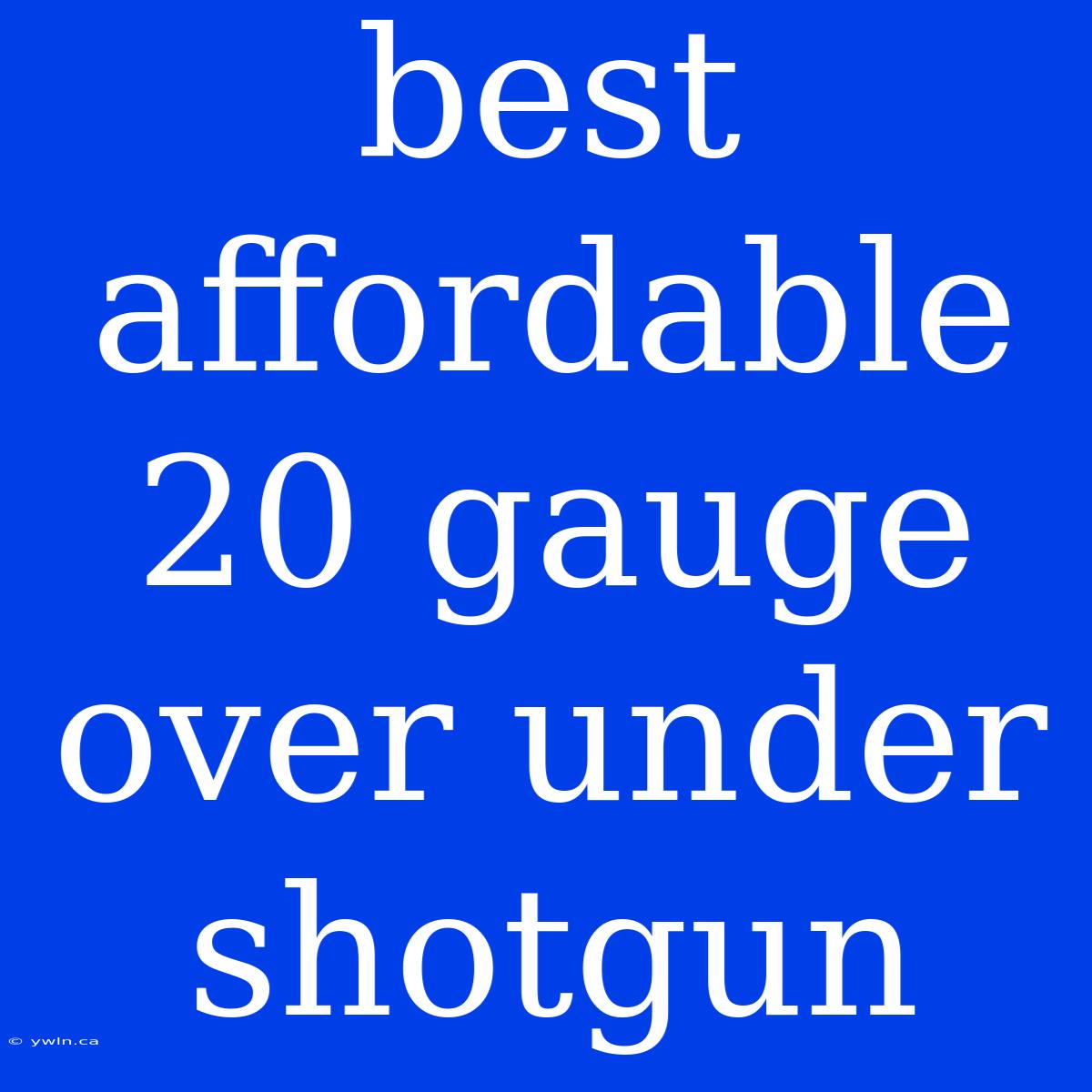 Best Affordable 20 Gauge Over Under Shotgun