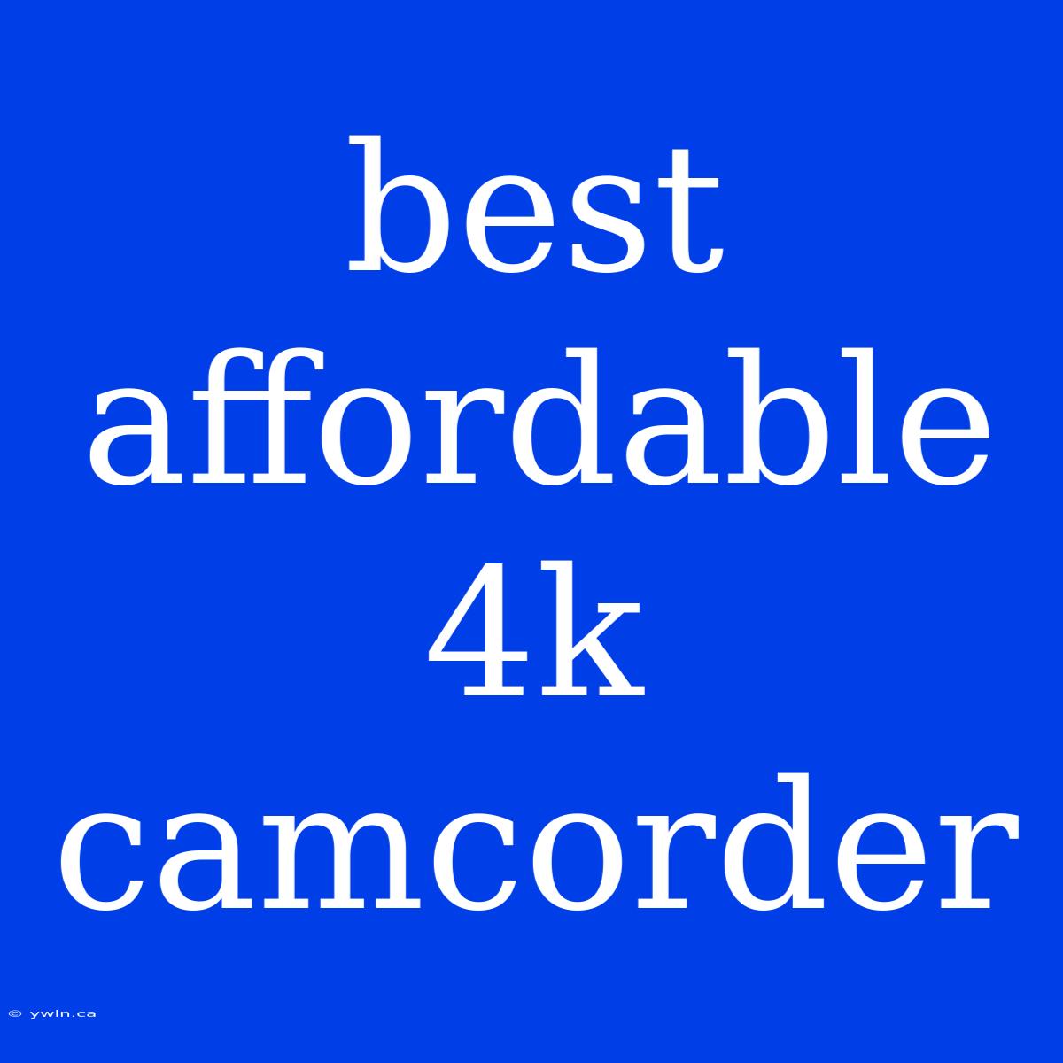 Best Affordable 4k Camcorder