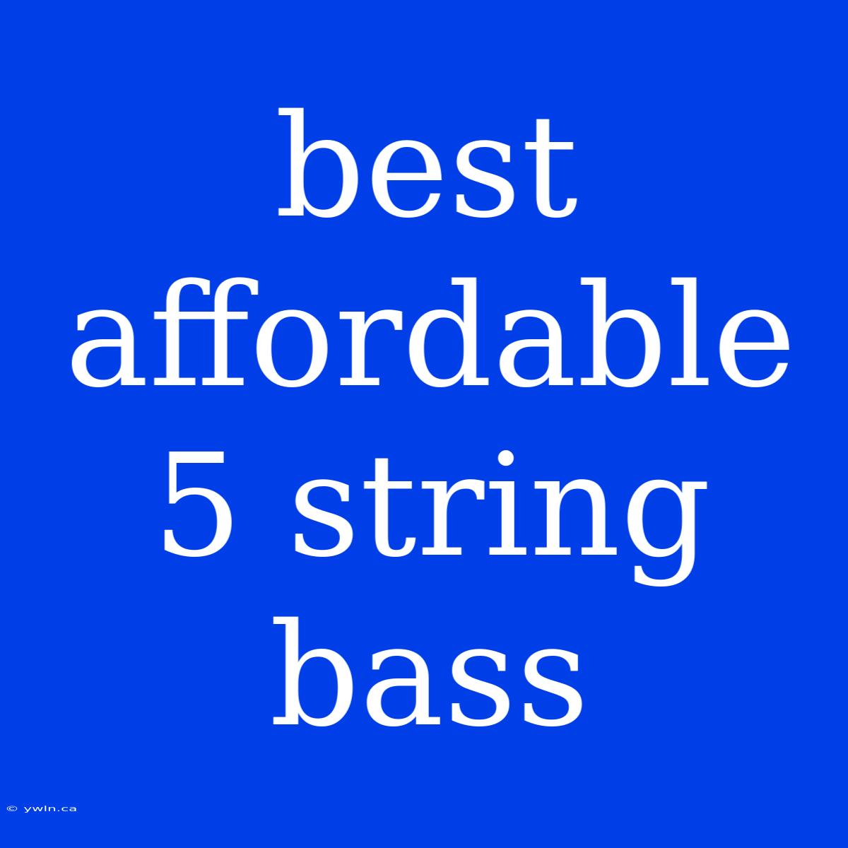 Best Affordable 5 String Bass