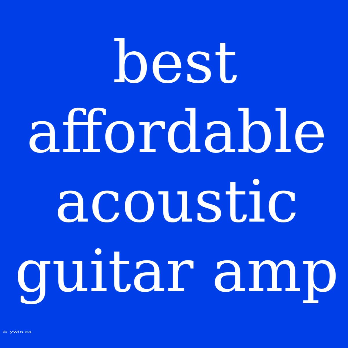 Best Affordable Acoustic Guitar Amp