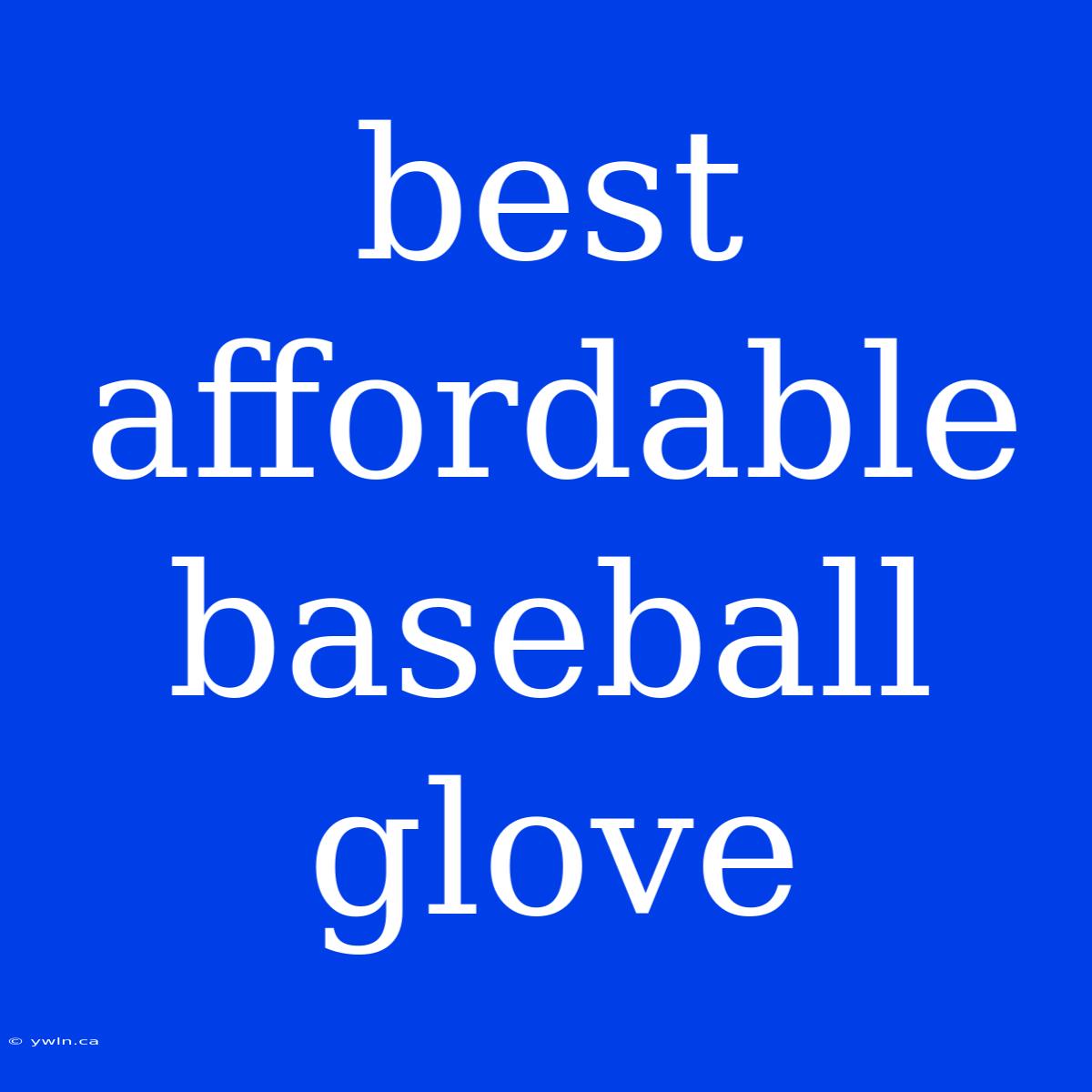 Best Affordable Baseball Glove