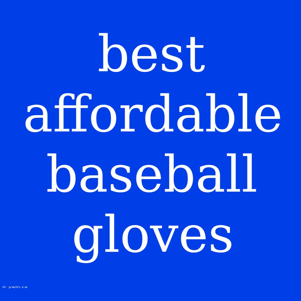 Best Affordable Baseball Gloves