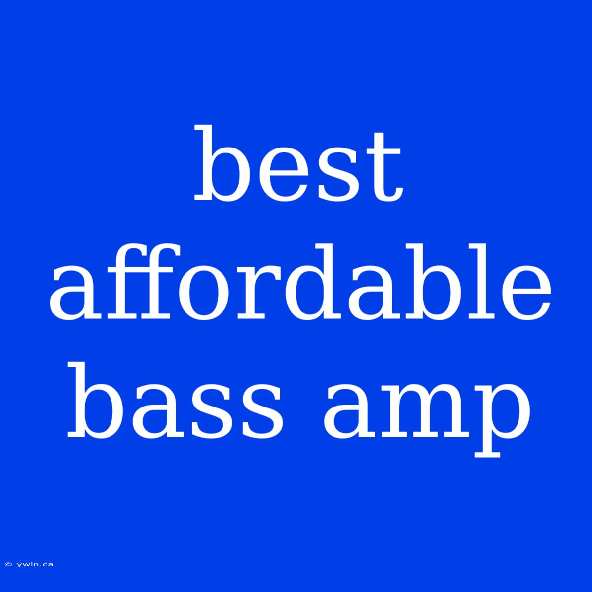 Best Affordable Bass Amp