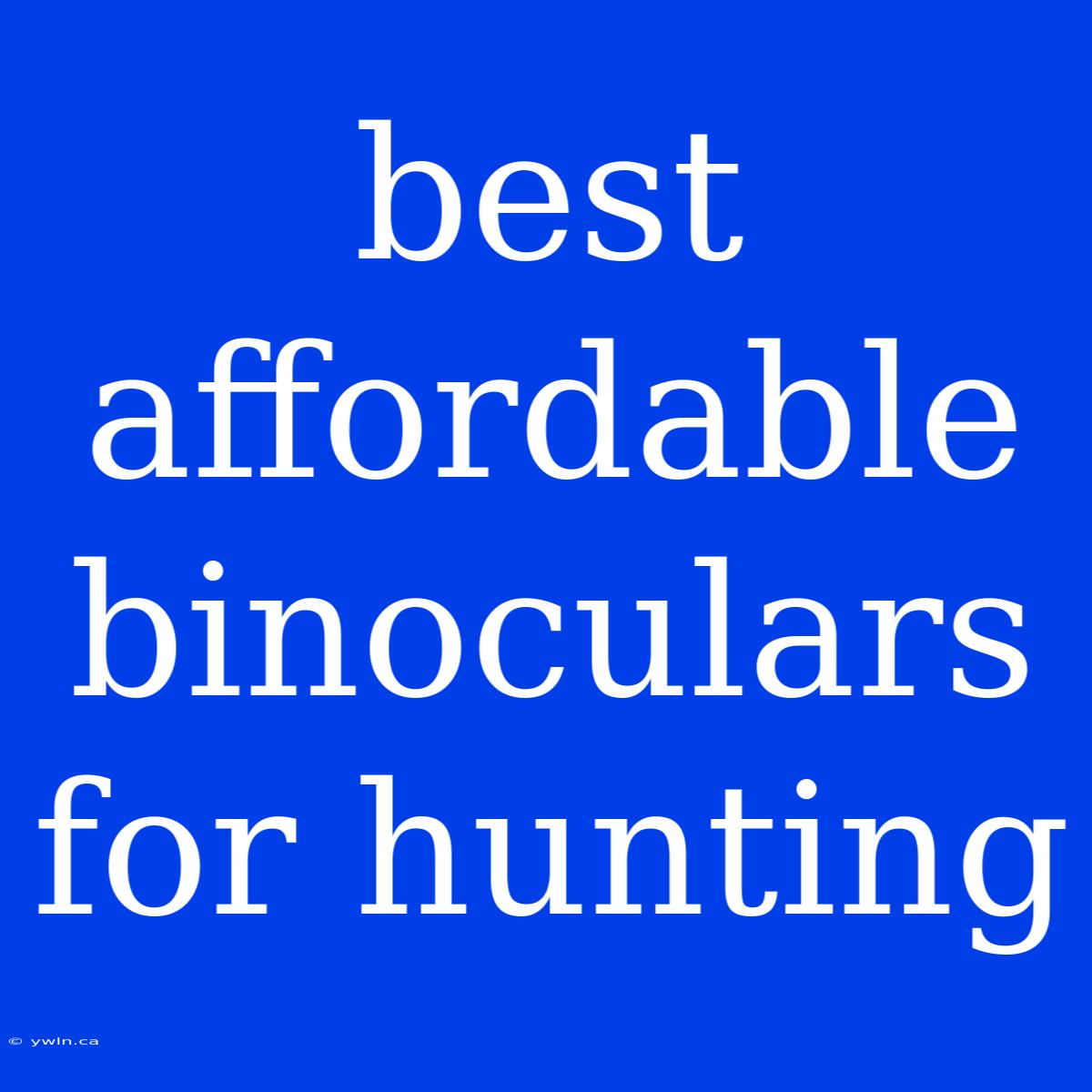 Best Affordable Binoculars For Hunting