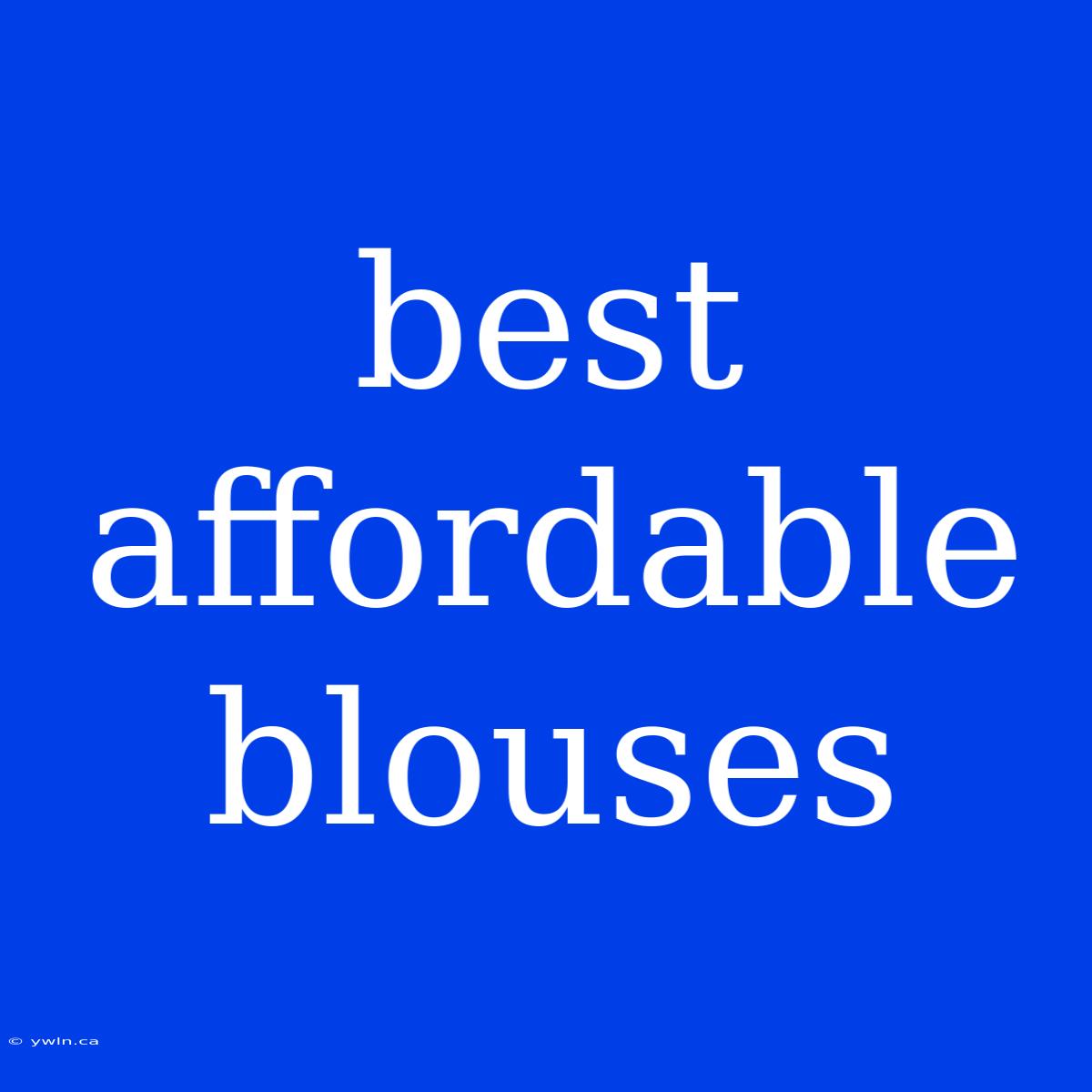 Best Affordable Blouses