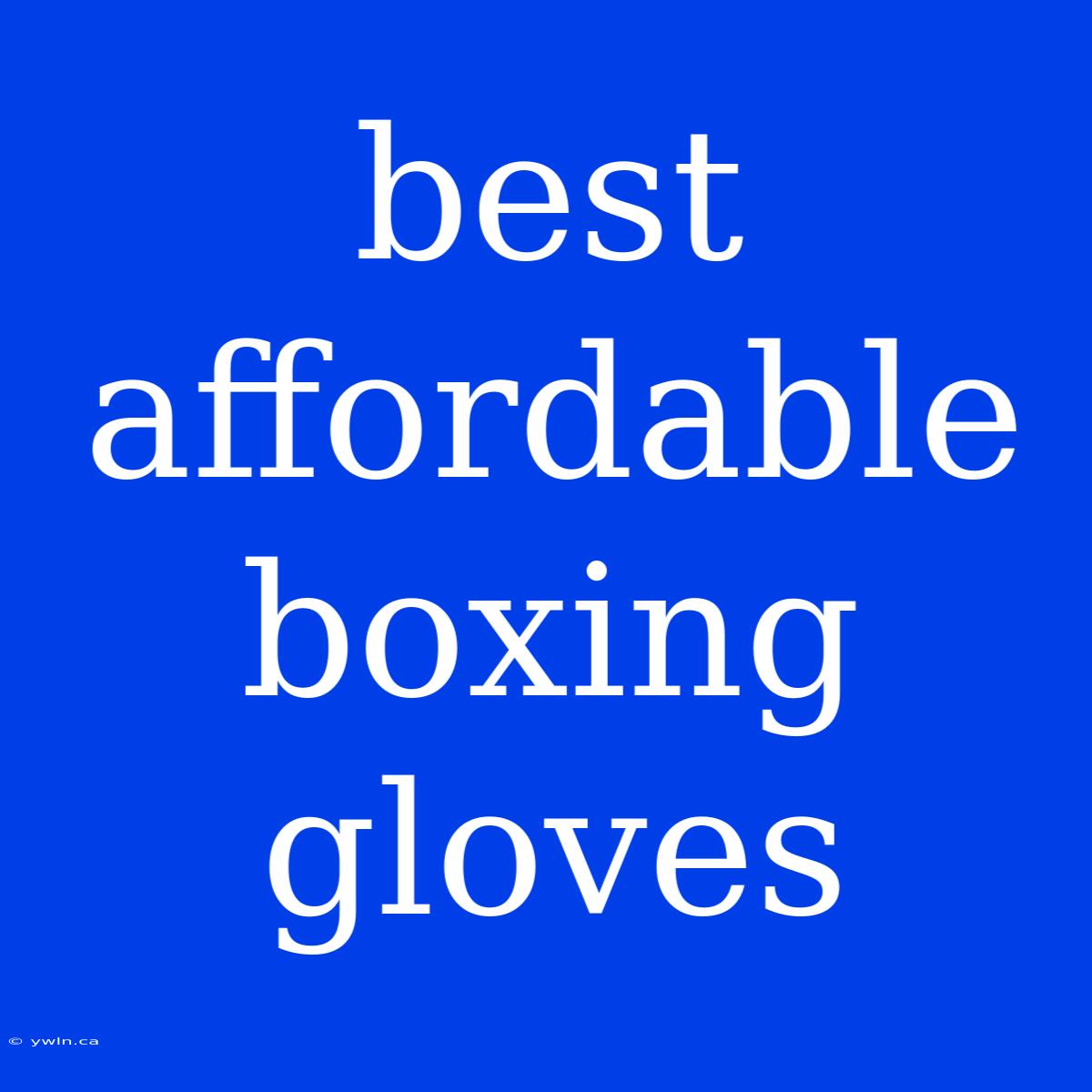 Best Affordable Boxing Gloves