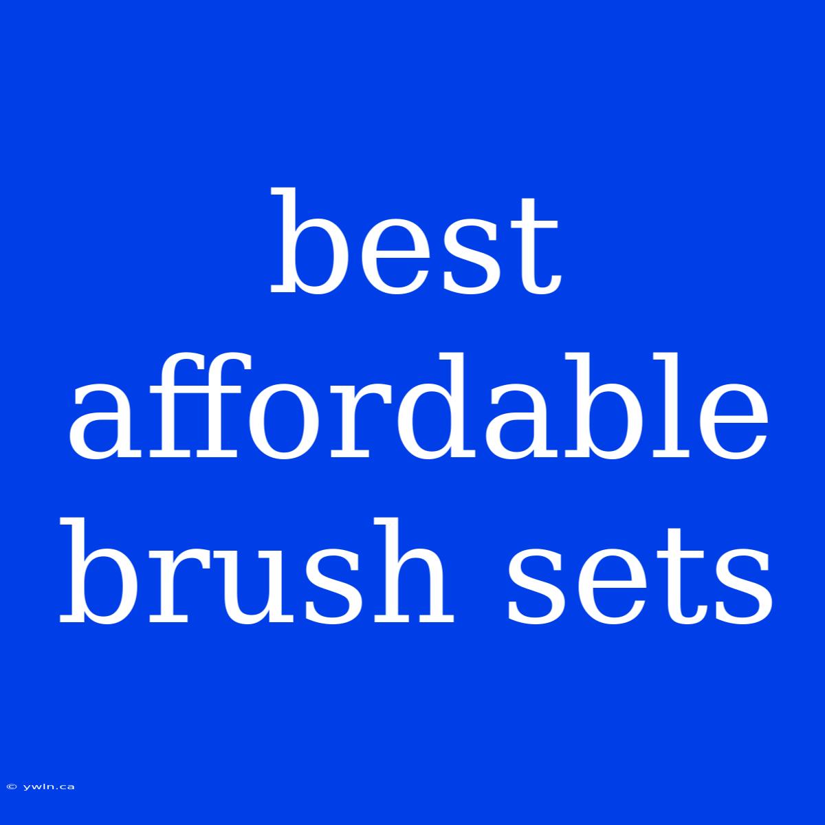 Best Affordable Brush Sets