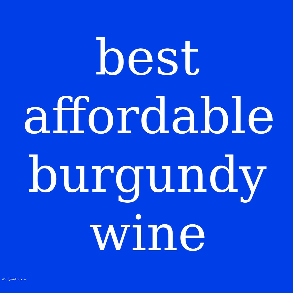 Best Affordable Burgundy Wine