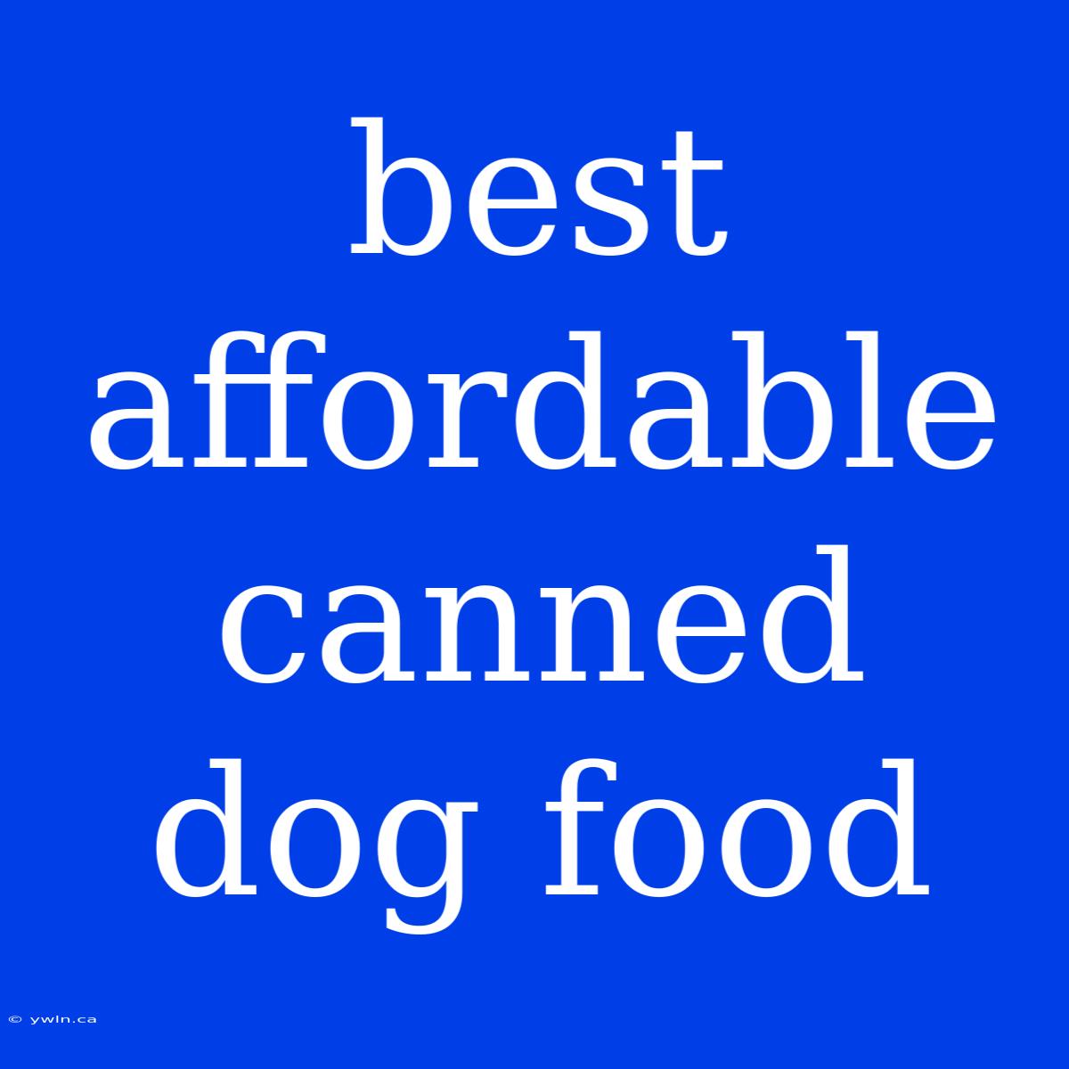 Best Affordable Canned Dog Food