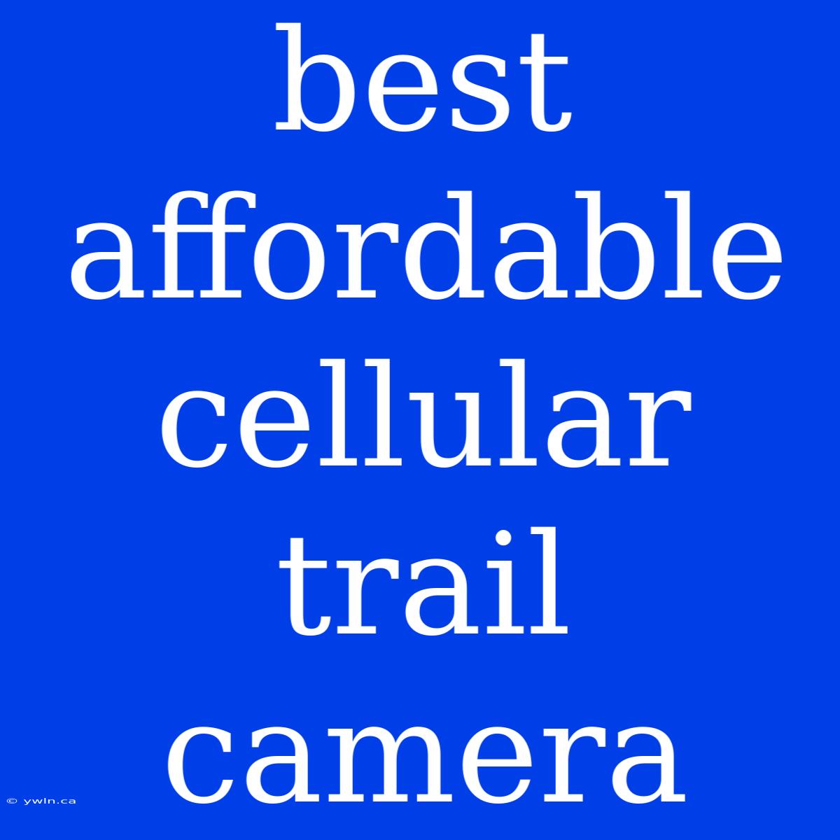 Best Affordable Cellular Trail Camera