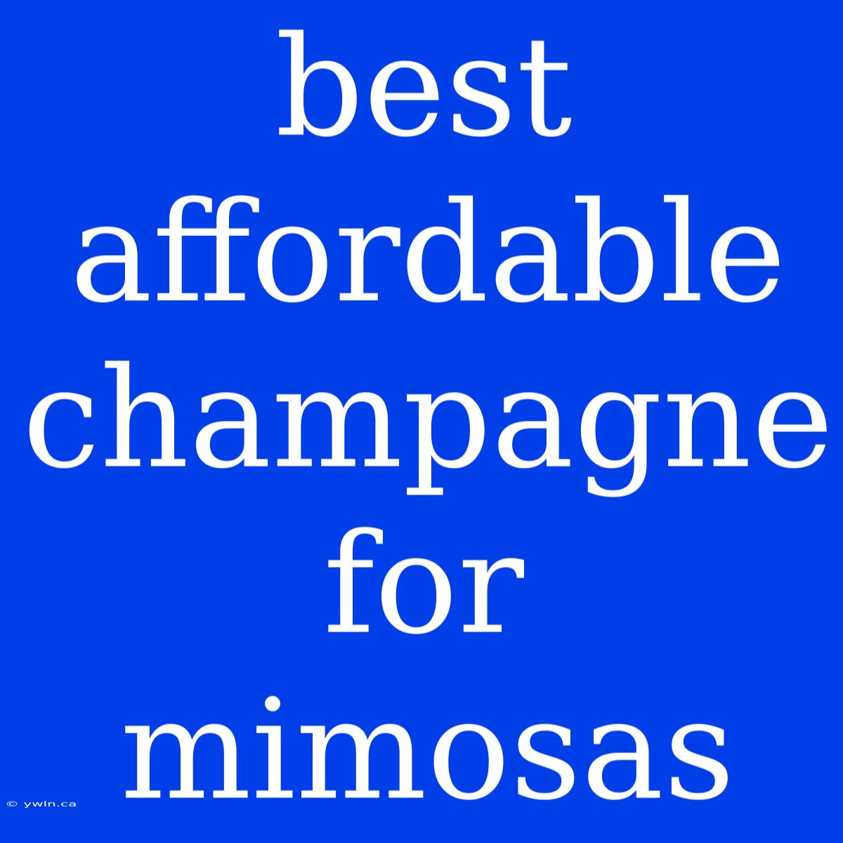 Best Affordable Champagne For Mimosas