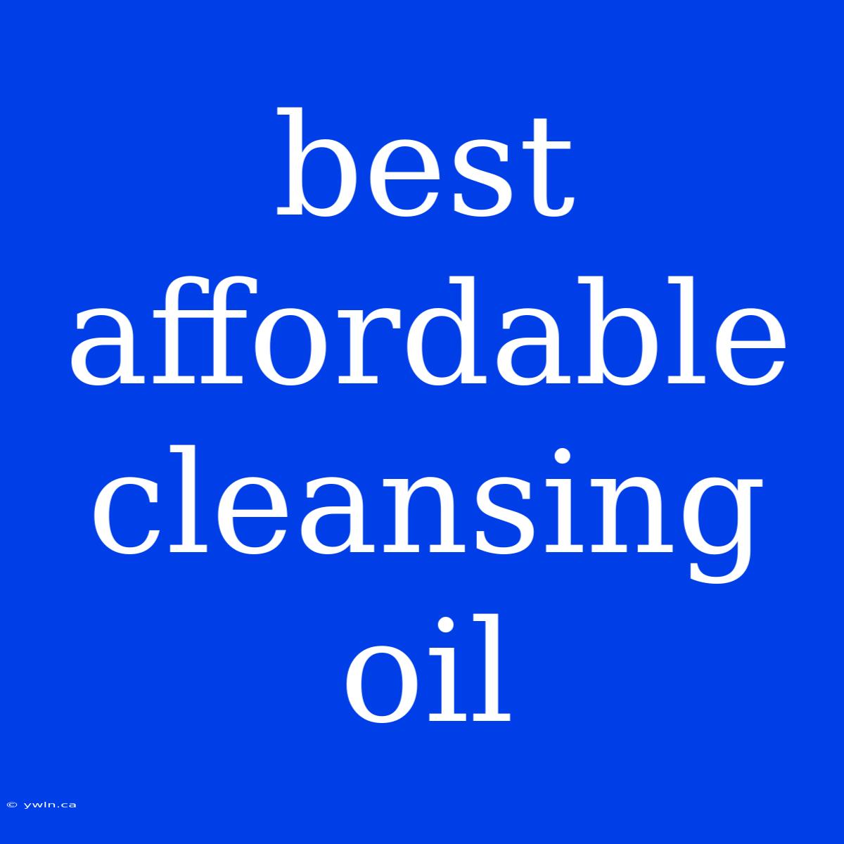 Best Affordable Cleansing Oil