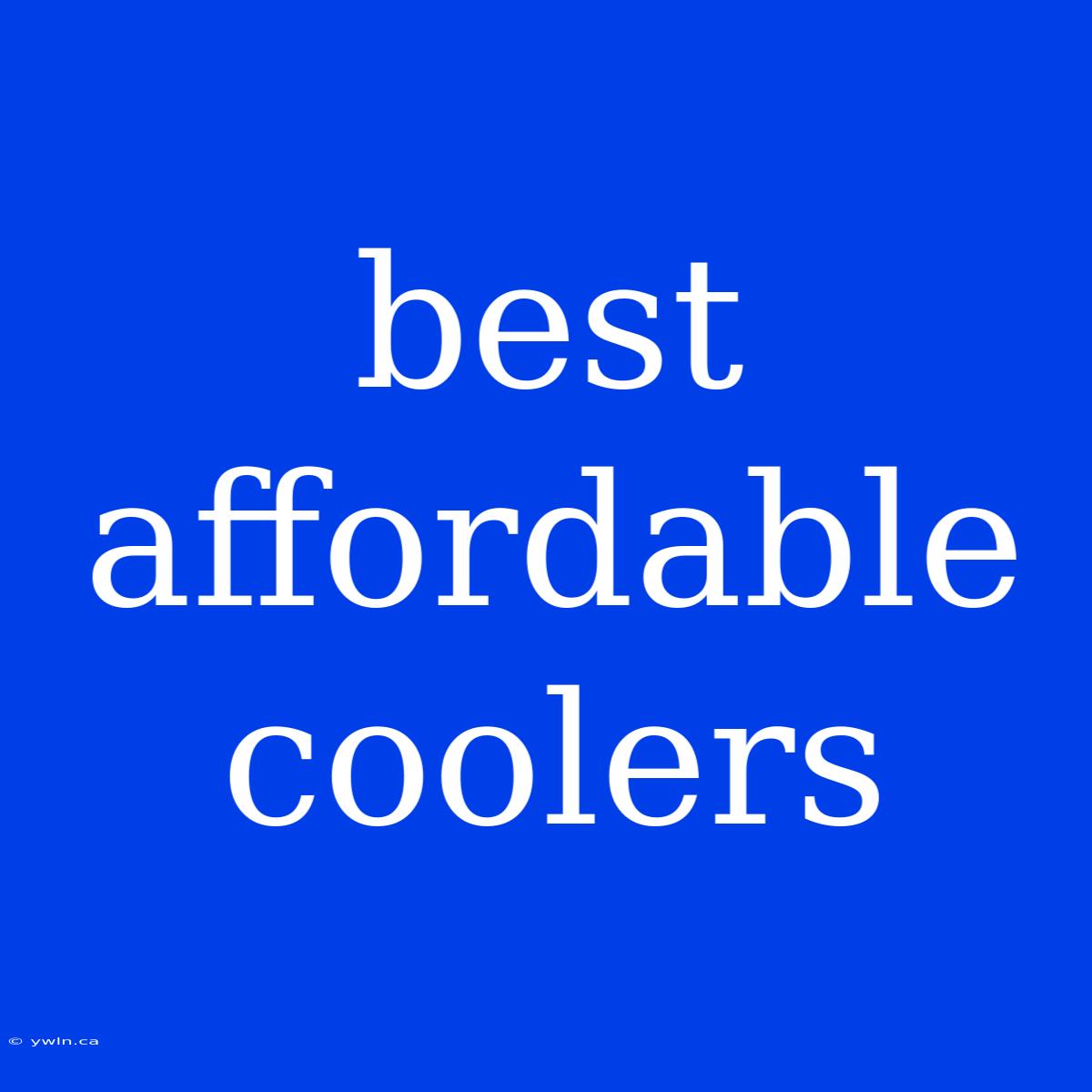 Best Affordable Coolers