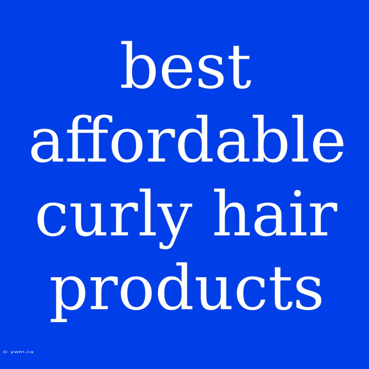 Best Affordable Curly Hair Products