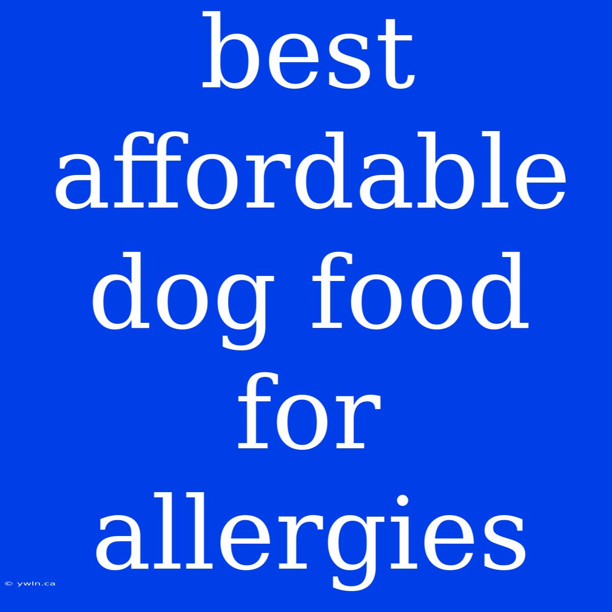 Best Affordable Dog Food For Allergies