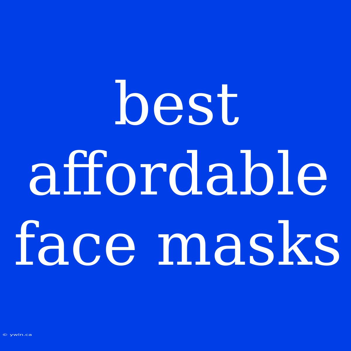 Best Affordable Face Masks