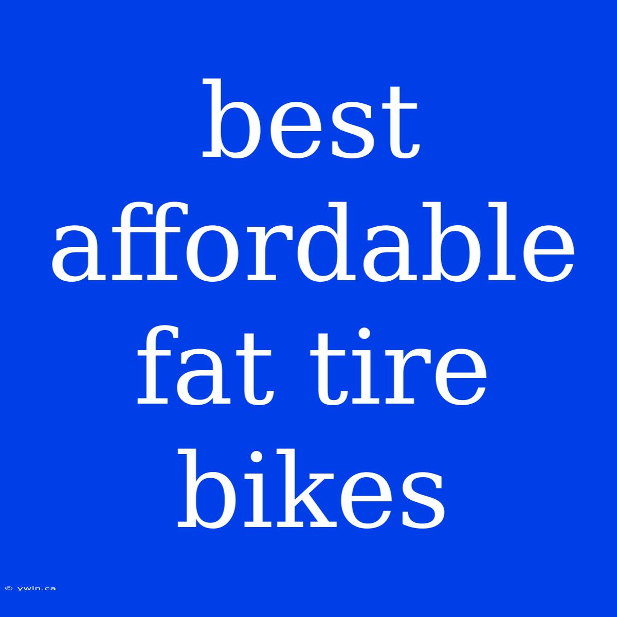 Best Affordable Fat Tire Bikes