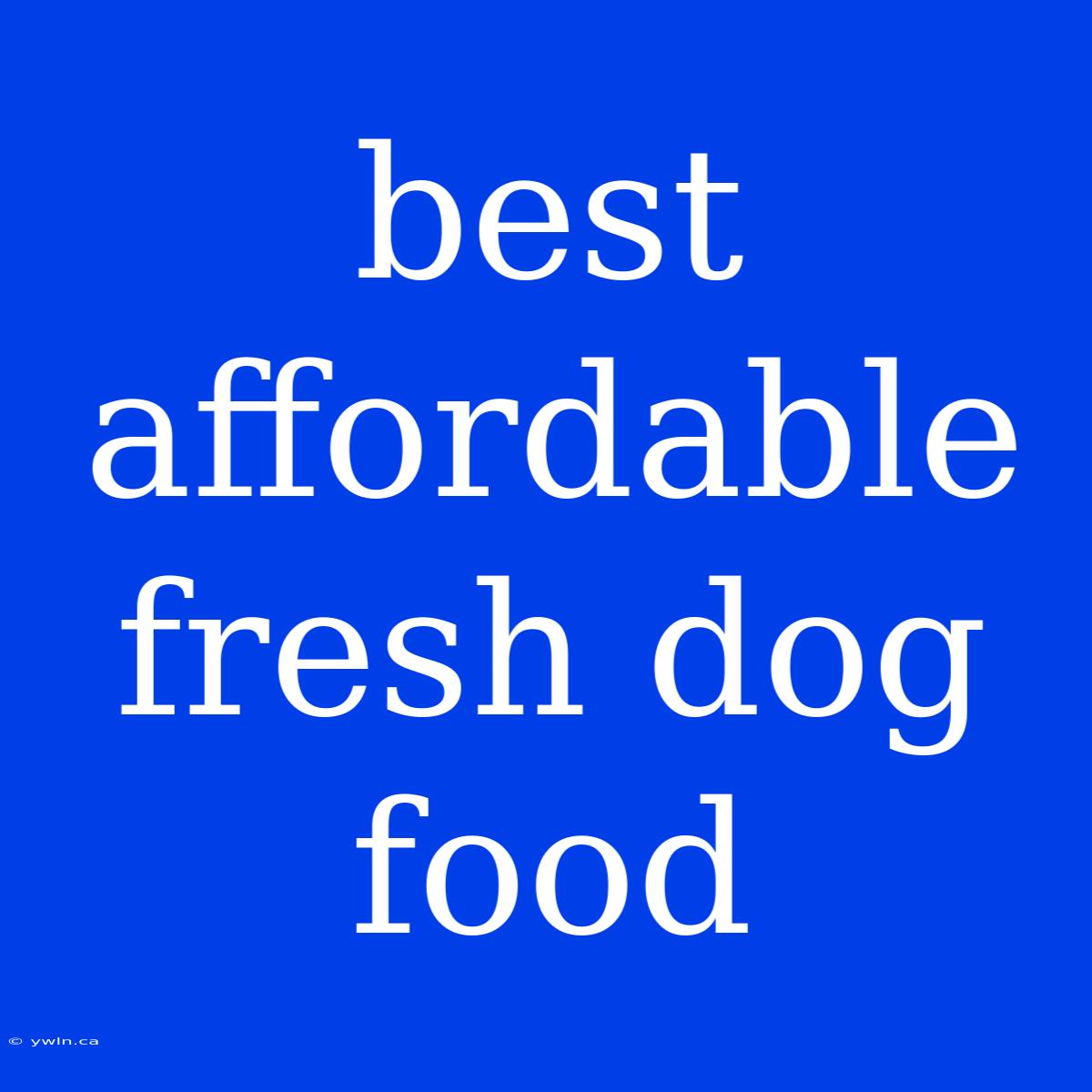 Best Affordable Fresh Dog Food