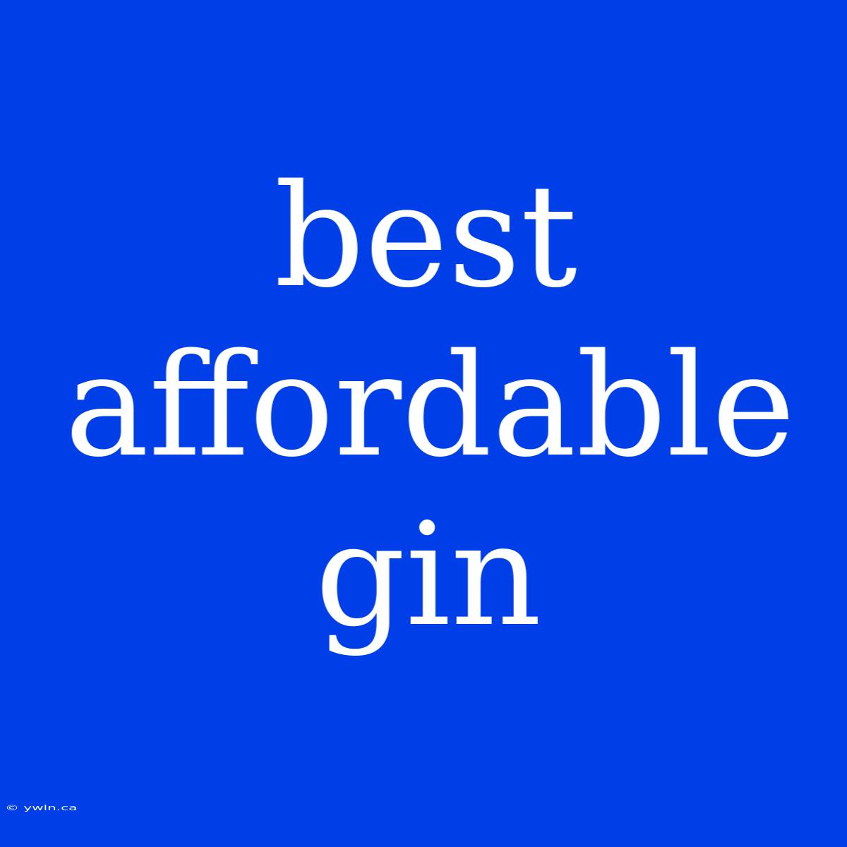 Best Affordable Gin